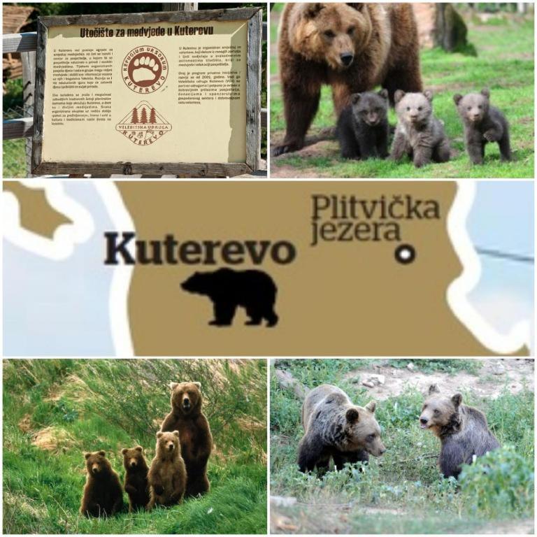Apartman Black River Plitvička Jezera Eksteriør bilde